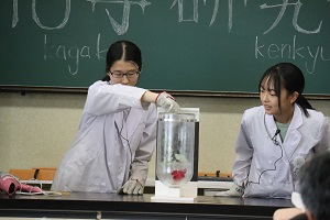 化研 (40).JPG